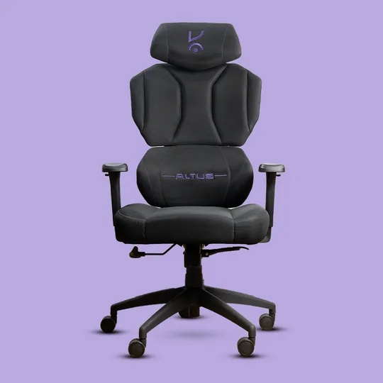 Altus Ergonomic Chair